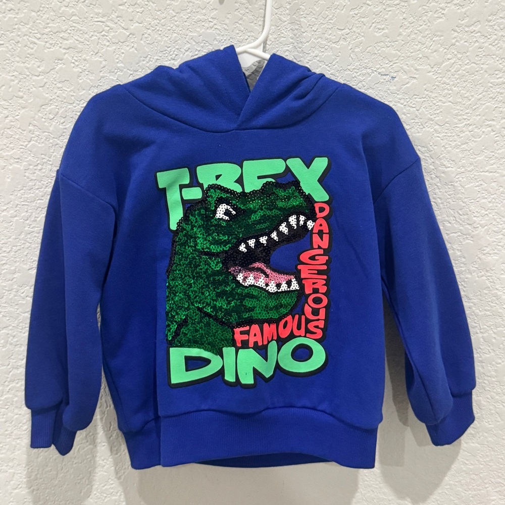 Blue Dinosaur Graphic Kids Hoodie
